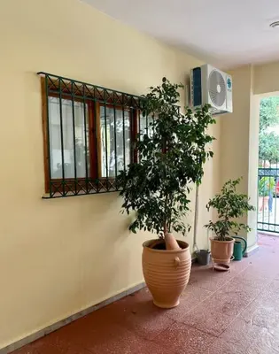 three potted plants in a room with a window at Apartment in Athens near Acropolis in Athens