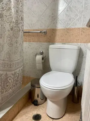 a bathroom with a toilet and a shower curtain at Apartment in Athens near Acropolis in Athens