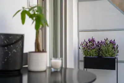 a table with a glass of milk and a potted plant at Adela's Apartment BR & LR Next to Metro and 20' From Acropolis in Athens
