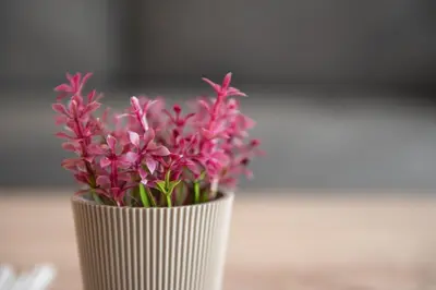 a white vase with pink flowers in it at Newly renovated flat 500m from subway station (SKIATH_79) in Athens