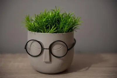 a pot with a pair of glasses and a plant at Spacious renovated flat 10min to metro station (KOL_71) in Athens