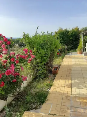 a garden with pink roses and a brick walkway at Helen's cozy studio (close to the airport) in Koropíon