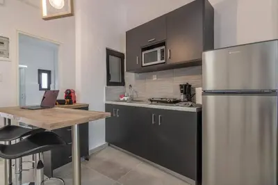 a kitchen with a stainless steel refrigerator and a table at Garden of Eden in Neos Kosmos in Athens