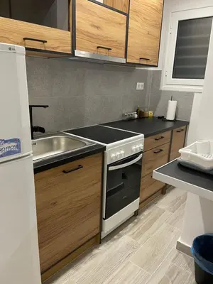 a kitchen with a sink and a stove at Pagrati Green Studio in Athens
