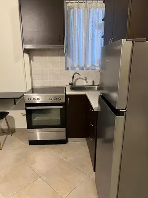 a kitchen with a stainless steel refrigerator and a sink at Cozy Apartment In The Heart Of Athens in Athens