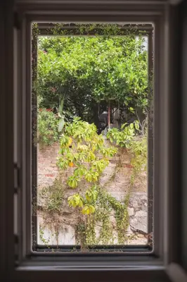 a window with a view of a garden with trees at Bugan-Villa in Athens