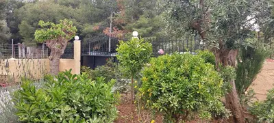 a garden with trees and bushes in front of a fence at Denis house in Artemida