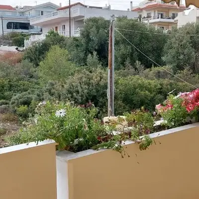 Denis house