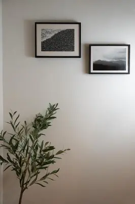 two framed photographs on a white wall with a plant at The House of Praxithea for 6 by Filos Inc in Athens