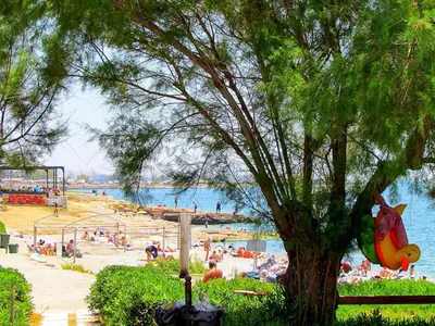 a group of people on a beach near a tree at Athens Stylish apt next to the beach and port in Athens