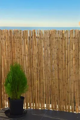 a plant in a pot in front of a wooden fence at Athens Riviera Modern Penthouse with Sea View in Athens