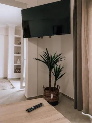 a plant sitting on the floor in a living room with two remote controls at Bohemian Apartment in Central Athens in Athens