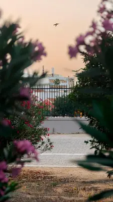 a plane is flying over a fence with flowers at The Urban Nest Design 1BR in Trendy Kerameikos in Athens
