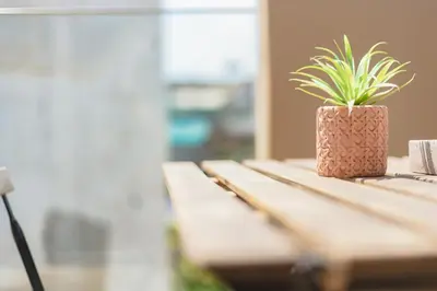 a potted plant sitting on top of a wooden bench at City Life Athens Apartments in Athens