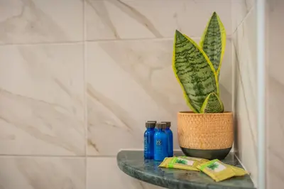 a shelf in a bathroom with a plant and blue bottles at The Stone Manor , Noho boutique Thissio in Athens