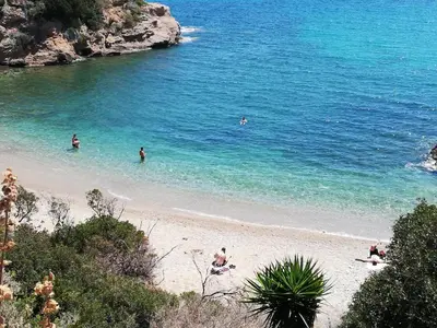 a group of people swimming in the water at a beach at ALTHEA HOLIDAY STUDIO in Aghia Marina