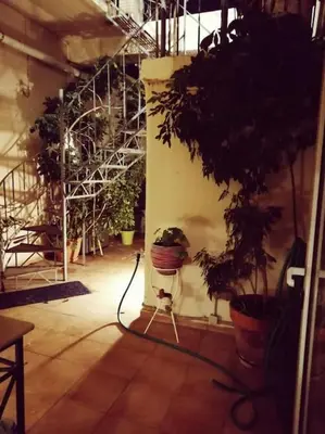 a room filled with potted plants in a building at Sacred Way rooftop apartment in Athens
