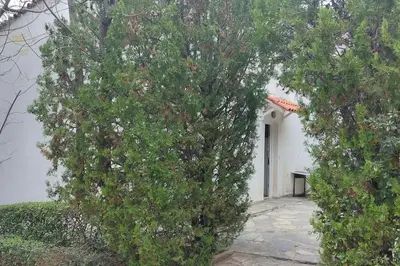 two trees in front of a white building at Sea Satin Anavyssos in Anavissos