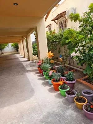 a row of flower pots lined up next to a building at GLYFADA APARTMENT 