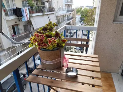a wooden bench on a balcony with a potted plant at Eleni’s House near to Thisio in Athens