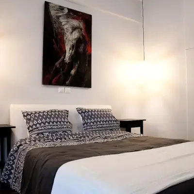 central Athens apartment near Kallimarmaro hosted by vasiliki