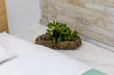 a potted plant sitting on a counter next to a brick wall at Lux Residence Near Acropolis VIPGreece in Athens