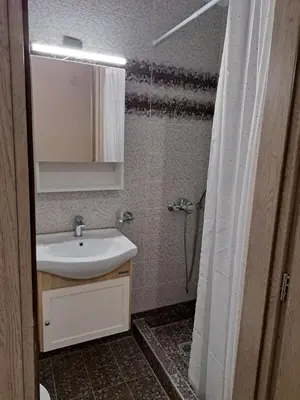 a bathroom with a sink and a shower at Evita's cozy apartment in Athens