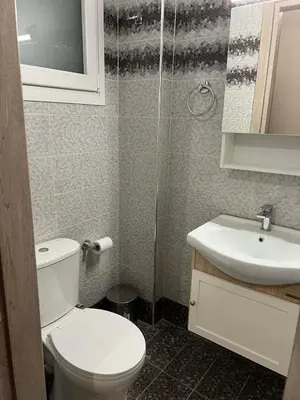 a bathroom with a toilet and a sink at Evita's cozy apartment in Athens