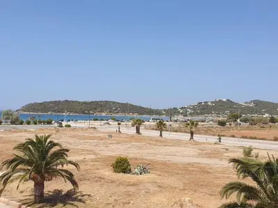 a row of palm trees on a sandy beach at Casa al Mare Anavissos in Anavissos