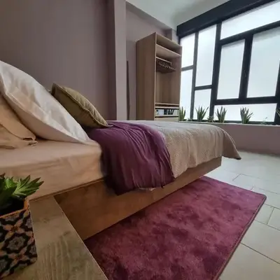 Ellis Apartment