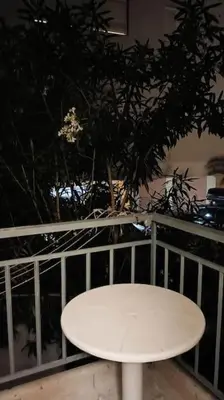 a white table and a tree on a balcony at Apartment by the Sepolia metro in Athens