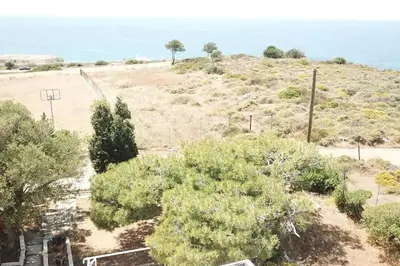 a view of a beach with trees and the ocean at Aegean traditional home in Athens Riviera in Sounio