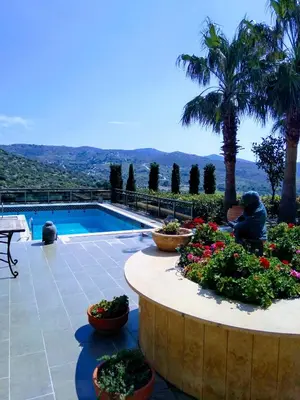 a patio with a pool and some plants and trees at Villa 47 in Keratea