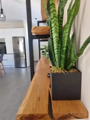 a potted plant sitting on a wooden table at New minimal apartment,10' from Athens airport in Spáta