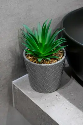 a plant in a pot sitting on a ledge at Luxury Studio Apartment in the Heart of Athens in Athens
