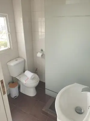 a bathroom with a toilet and a sink at Skyline oasis rooftop in Athens