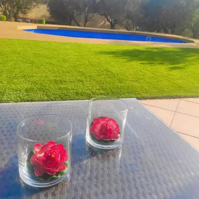two glasses with roses in them sitting on a table at Villa Lagonisi in Aghia Marina