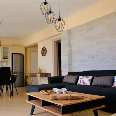 The Artemis House Project