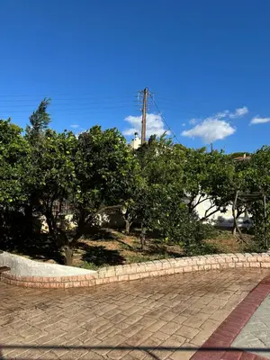 a brick walk way with trees in the background at Agia Marina apartment in Aghia Marina