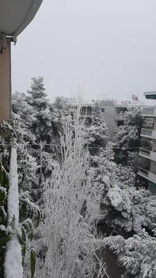 a garden covered in snow with trees and bushes at Pantheon Penthouse, Athens Riviera in Athens