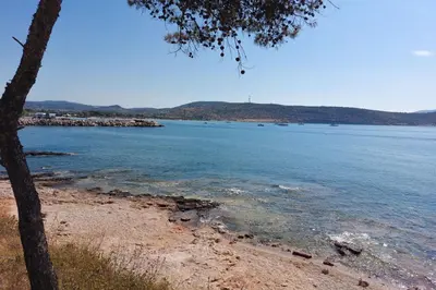 a view of a body of water with a tree at Naiads Nest - The Cozy Retreat in Varkiza