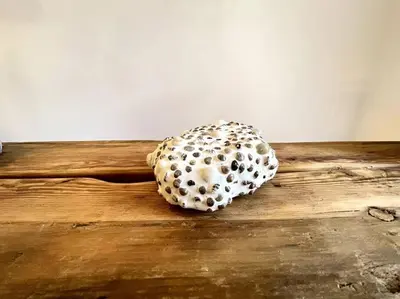 a mushroom on top of a wooden table at LIVING IN A CAVE UNDER ACROPOLIS in Athens