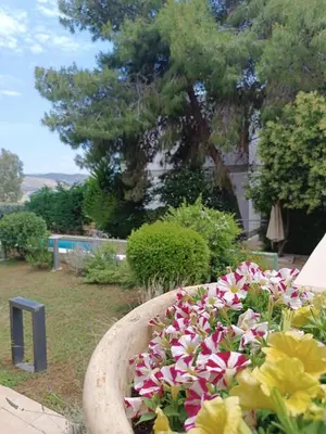 a bowl filled with flowers in a garden at Sunset Sea Mini Studio Anavissos in Anavissos