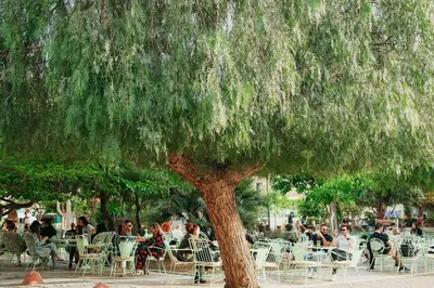 a large tree with people sitting in chairs under it at Academy Elegant Apartment #101 in Athens