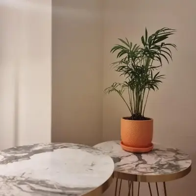 A Apartments