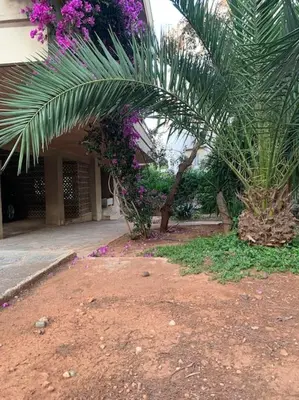 a house with a palm tree and purple flowers at Varkiza Lux Apartment in Varkiza