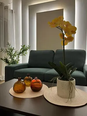 a living room with a table with two plates and a plant at Emerald Luxury Apartments - ATH Airport in Spáta