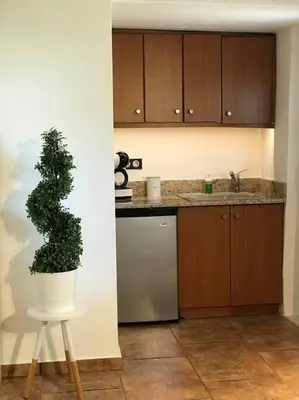 a kitchen with a potted plant sitting on a stool at NATURE & SEA in Saronida