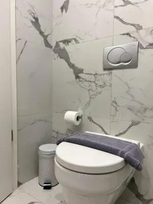 a bathroom with a white toilet and a marble wall at Attiki Apartment VIPGreece in Athens