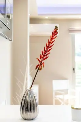 a silver vase with a red flower in it at Acropolis lux view penthouse in Athens